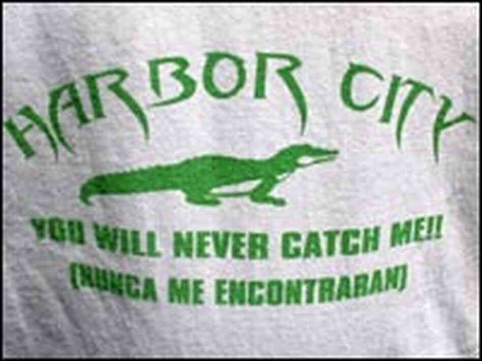 A novelty t-shirt teases those trying to catch the alligator. A novelty t-shirt teases those trying to catch the alligator.