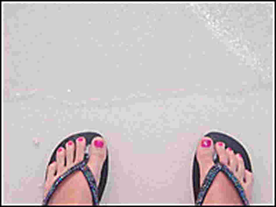 Painted toenails in flip flops on the beach. Painted toenails in flip flops on the beach.