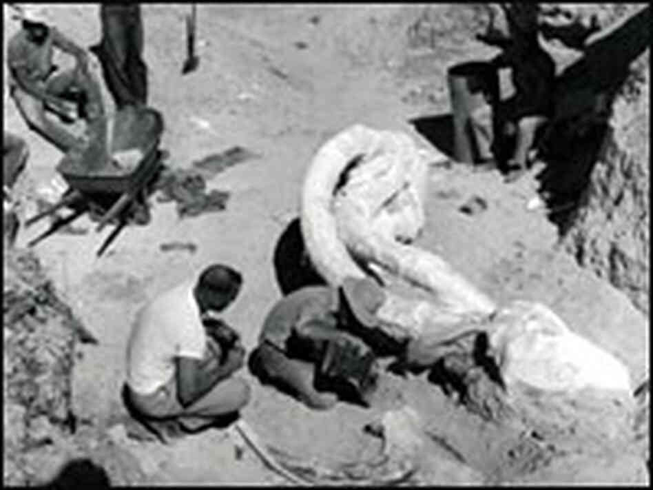 1962 dig site