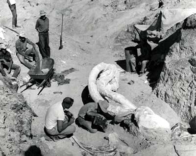 1962 dig site