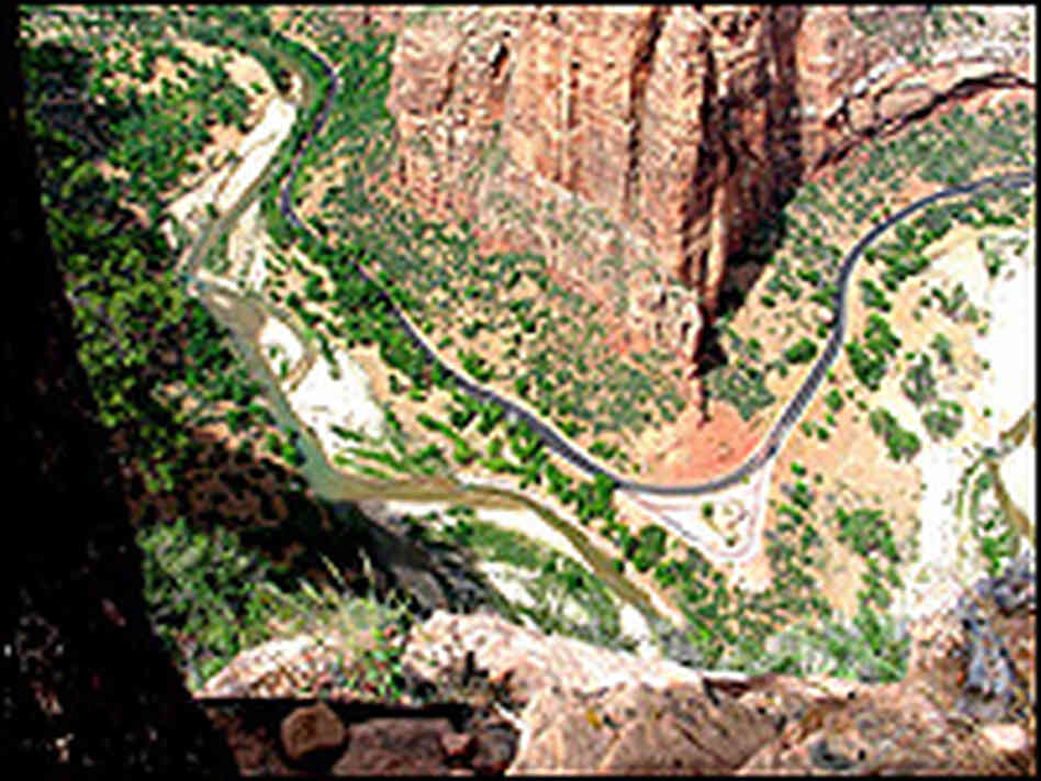 A view of the Zion Canyon from Angel's Landing, 1,500 feet up.
