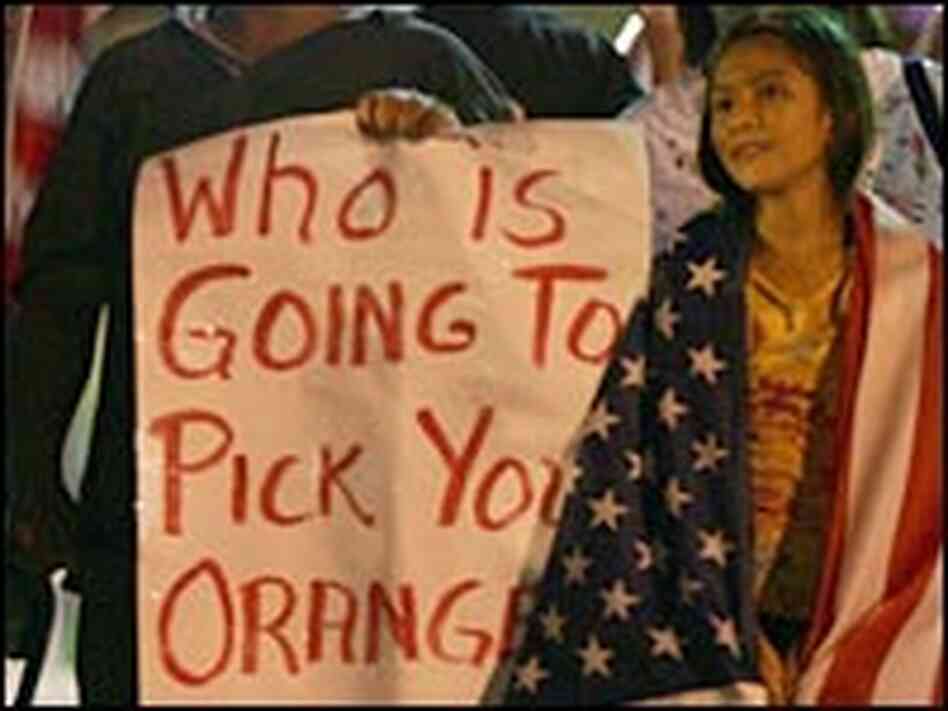 Immigration is one of the top priorities of Hispanic Americans, according to recent polls. Immigration is one of the top priorities of Hispanic Americans, according to recent polls.