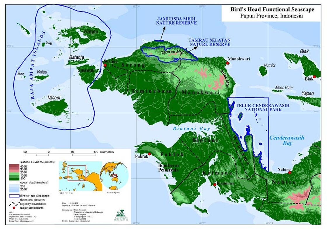 Beehler is hunting the rare bird in one of the most remote and wild places on the planet