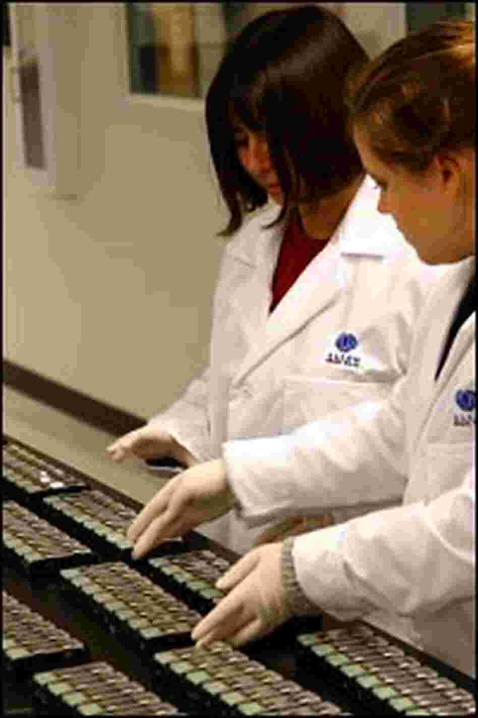 Researchers at the Allen Institute for Brain Science sort slides Researchers at the Allen Institute for Brain Science sort slides