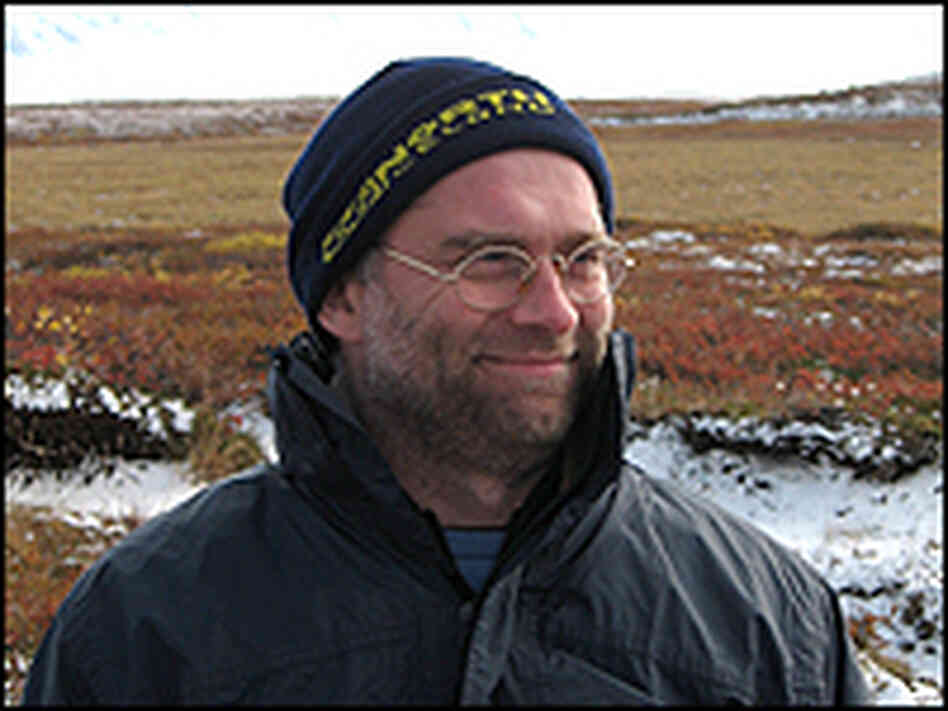 Archaeologist Adolf Fridriksson stands near the ruins of an early Viking farm. Archaeologist Adolf Fridriksson stands near the ruins of an early Viking farm.