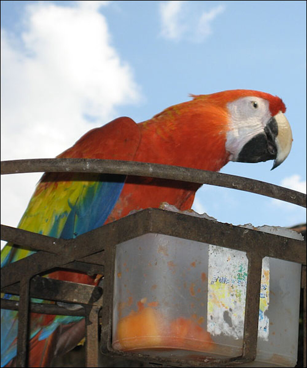 A resident perches at Casa Santo Domingo in Antigua, Guatemala.