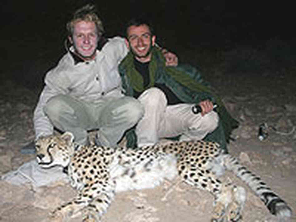 Guy Balme and Kamran Kashiri celebrate radio-collaring of an Asiatic cheetah.