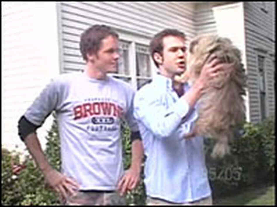 Paul Campbell (left) and Taran Killam Paul Campbell (left) and Taran Killam