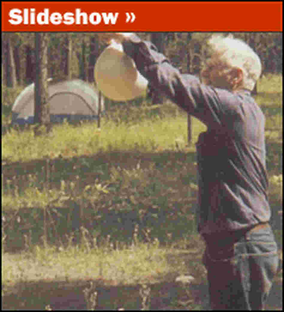 Slideshow lead-in Slideshow lead-in