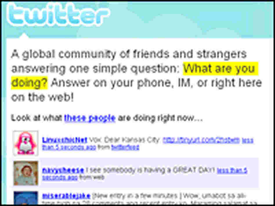 The Twitter service invites you to publicly answer the question, "What are you doing?"