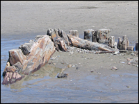 The remains of the King Philip protrude from the sand at San Francisco's Ocean Beach.