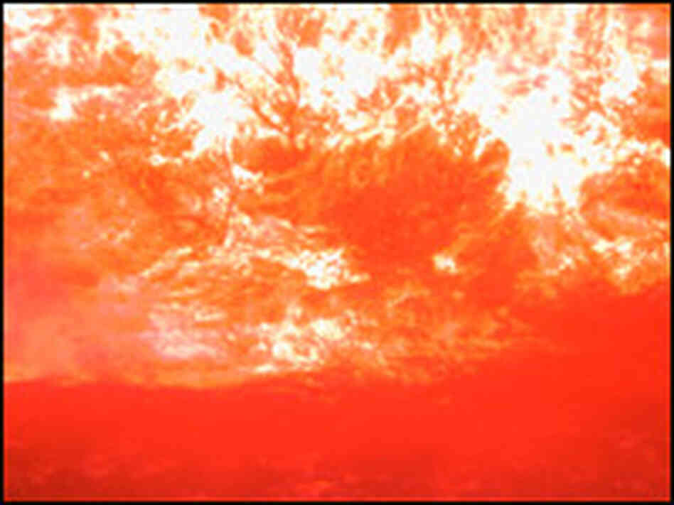 Fire Photo