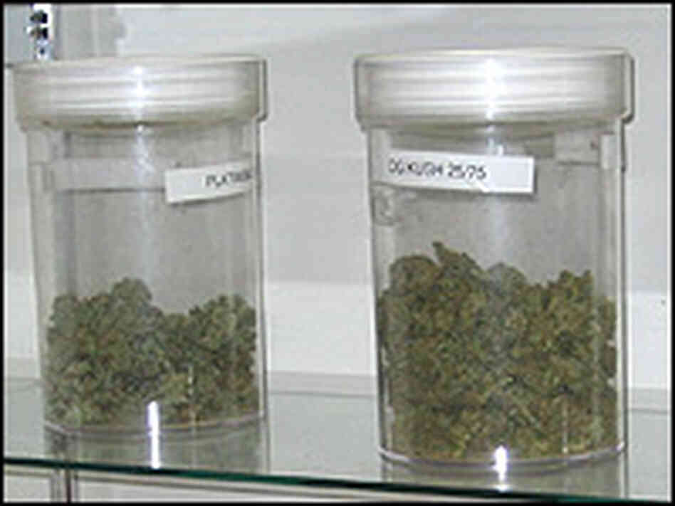 Weed Weed