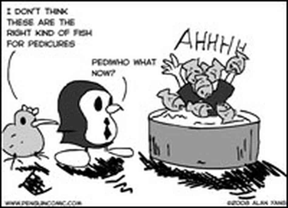 Fish Comic