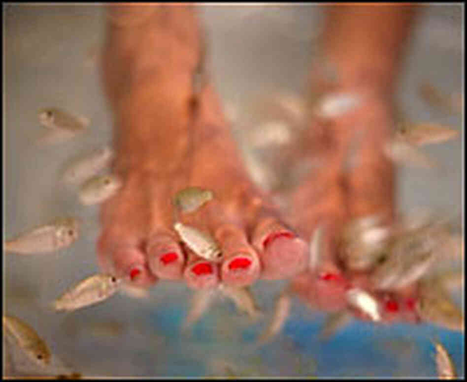 Toes Become Beautiful