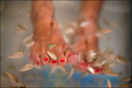 Toes Become Beautiful