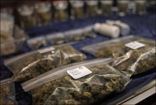 Marijuana Baggies