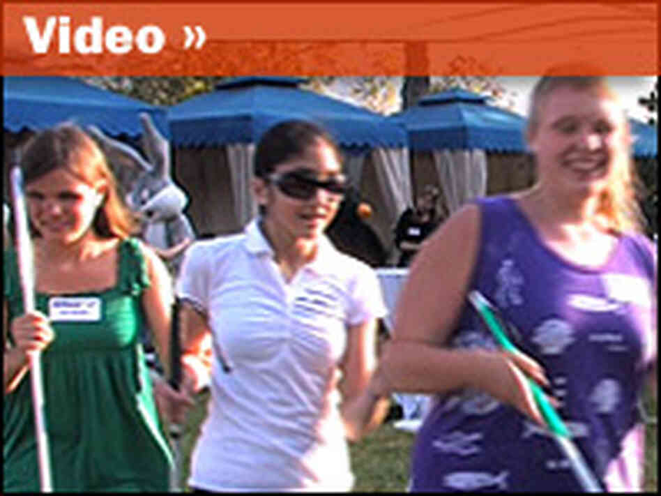 Braille Video Braille Video