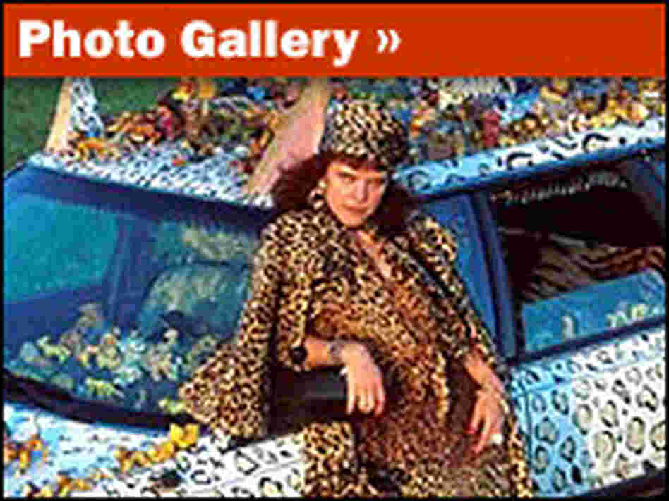 Car Gallery Car Gallery