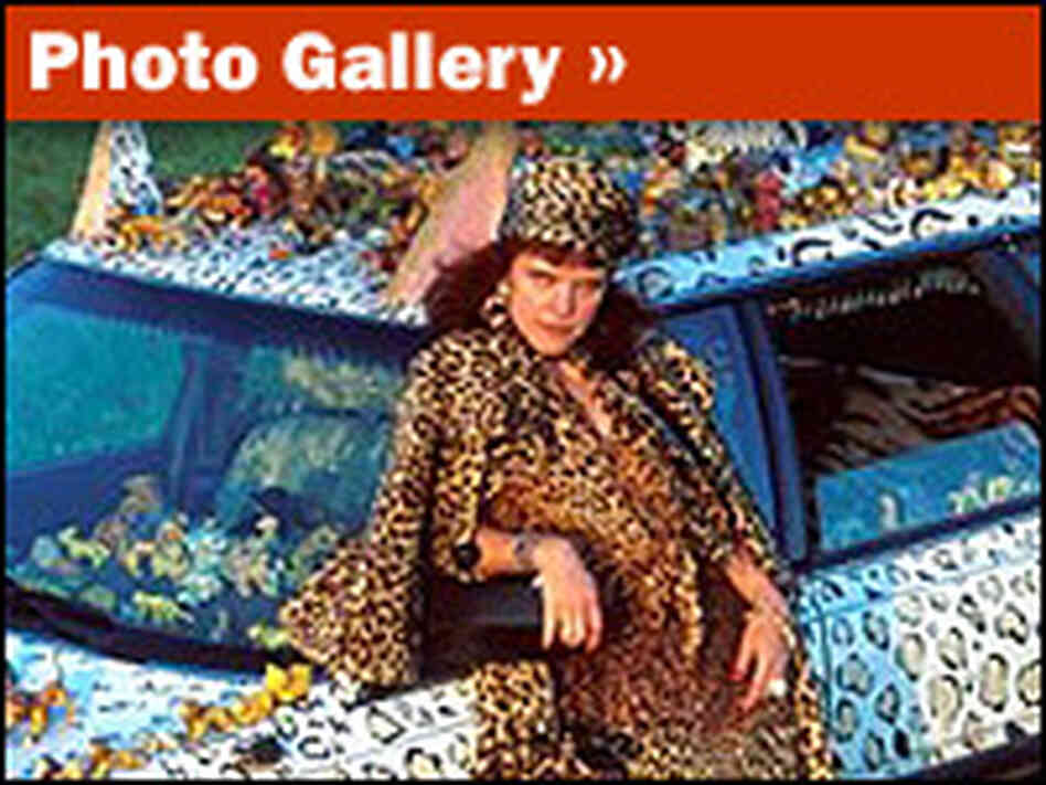 Car Gallery