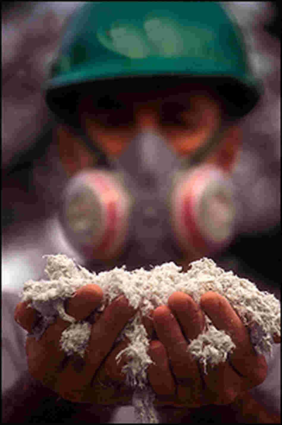 Worker holding asbestos Worker holding asbestos