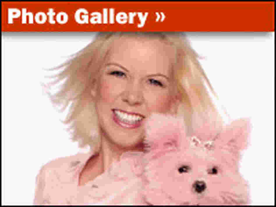 'Holy Headshot!' Gallery 'Holy Headshot!' Gallery
