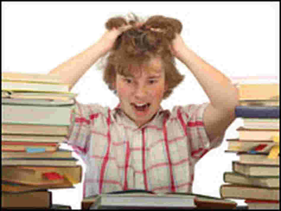 SAT Stress SAT Stress
