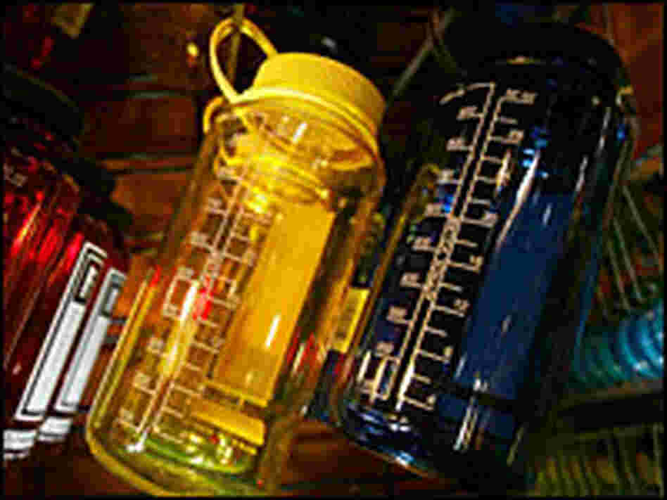 Water bottles made with the controversial carbonate plastic bisphenol A, or BPA Water bottles made with the controversial carbonate plastic bisphenol A, or BPA
