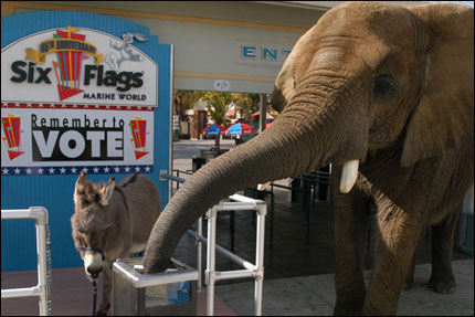 Donkey and Elephant