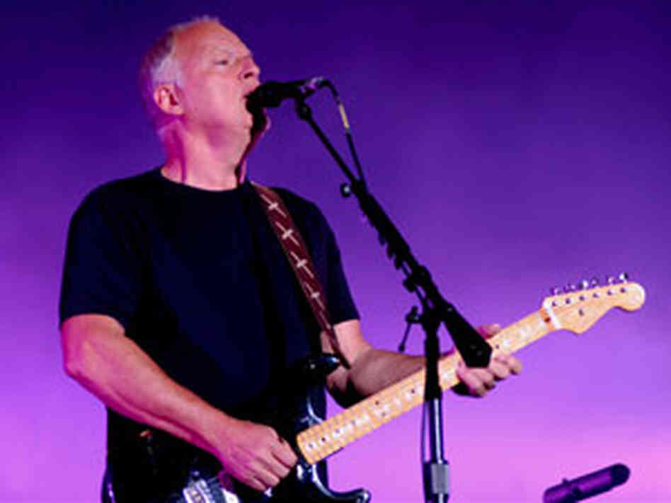 Pink Floyd's David Gilmour 300 Pink Floyd's David Gilmour 300
