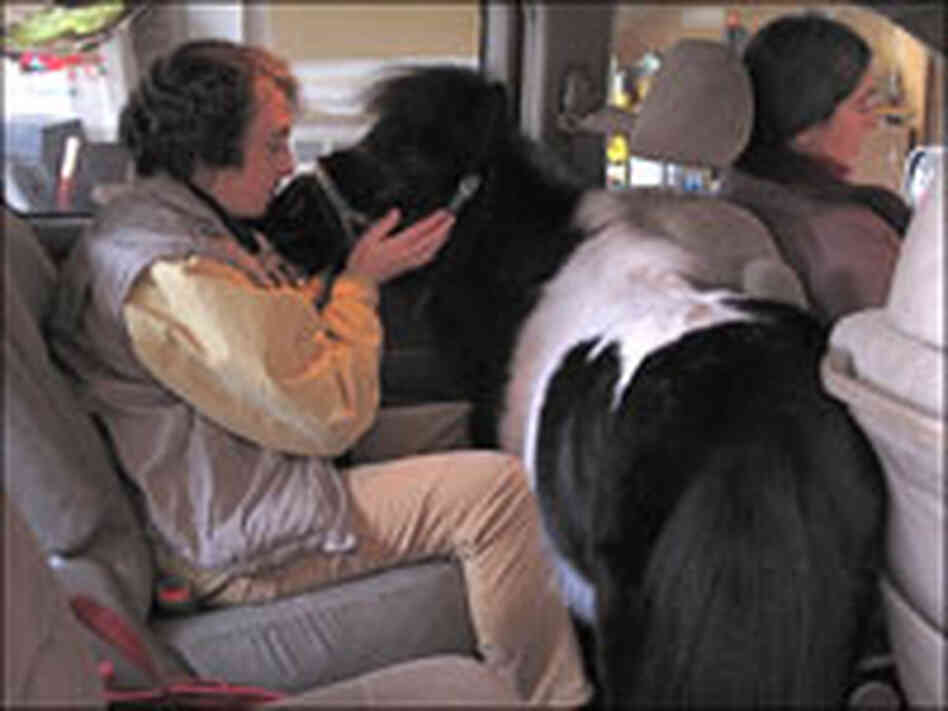 Ann Edie and Panda