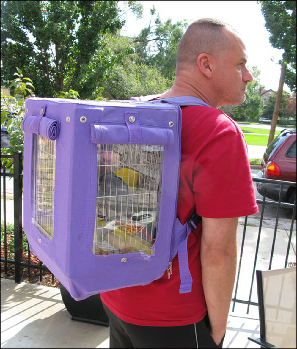 The Parrot Cage