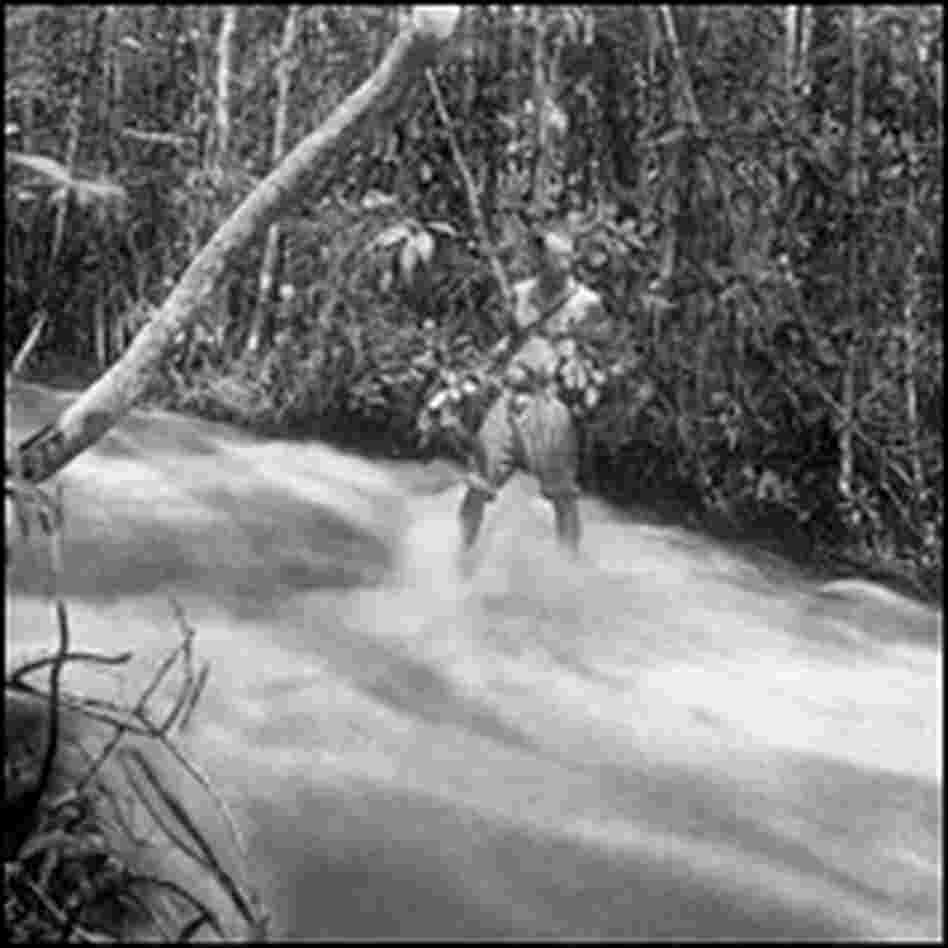 Schultes stands in a stream.