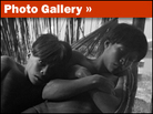Gallery Gallery