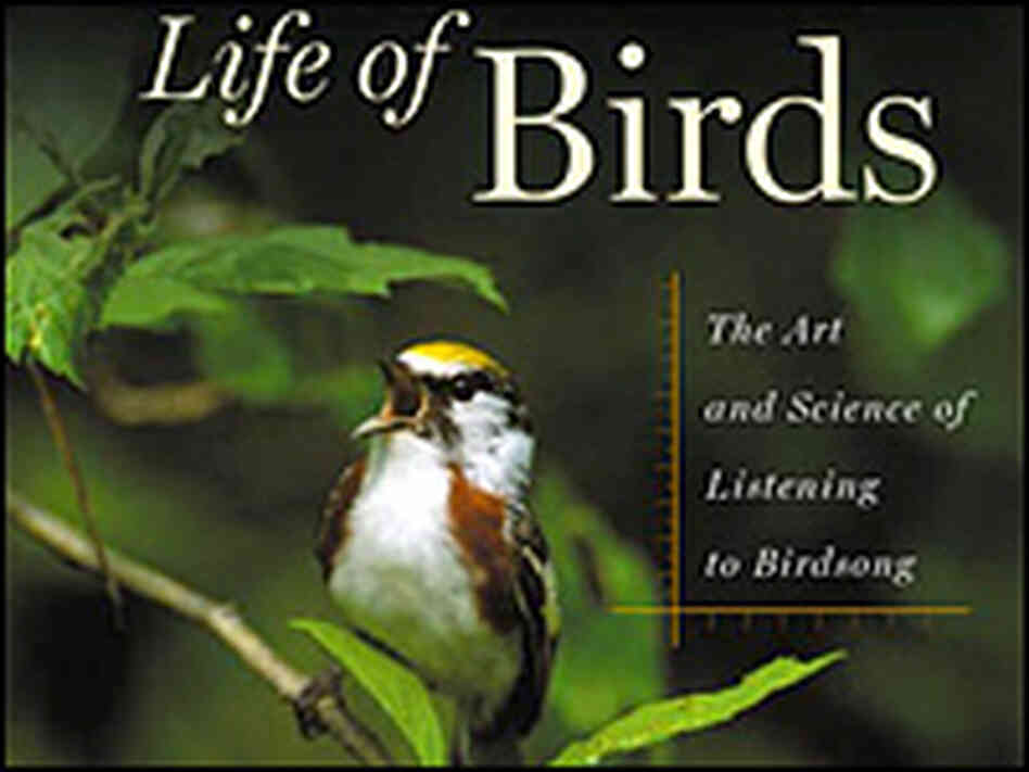 Detail from the cover of Donald Kroodsma's 'The Singing Life of Birds' Detail from the cover of Donald Kroodsma's 'The Singing Life of Birds'