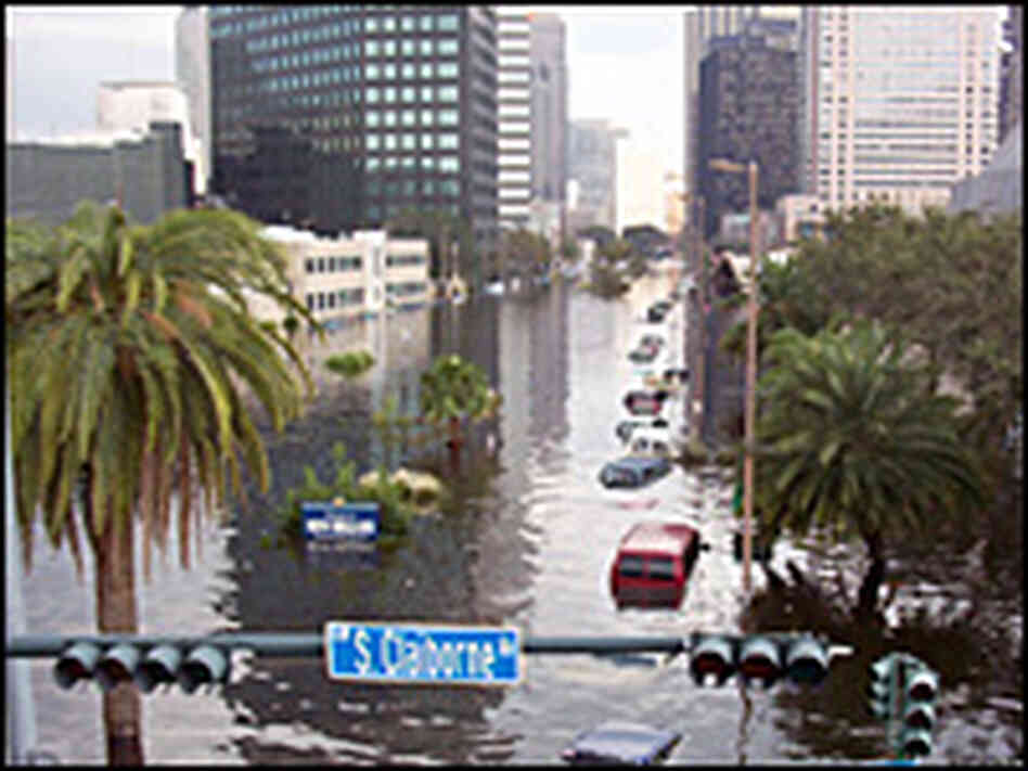 The flooded streets of New Orleans The flooded streets of New Orleans