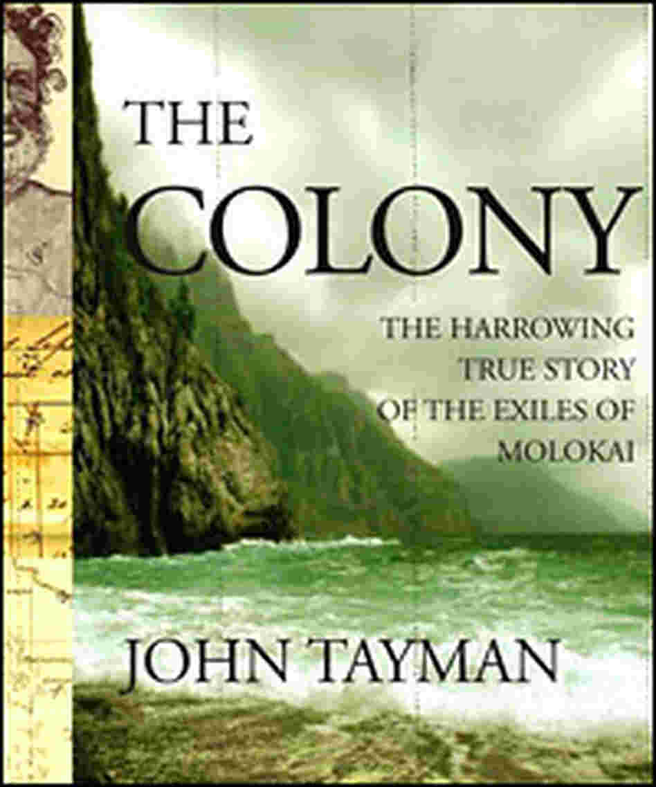 Detail from the cover of 'Colony' Detail from the cover of 'Colony'