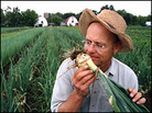 Farmer John Peterson. Farmer John Peterson.