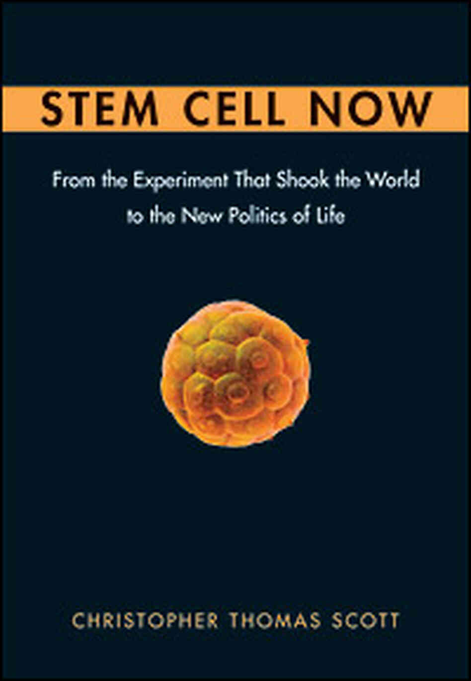 The cover. Credit: Pi Press. The cover. Credit: Pi Press.