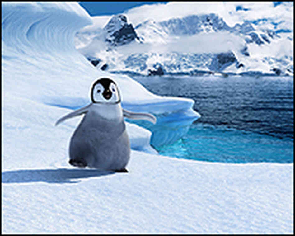 'Happy Feet' 'Happy Feet'