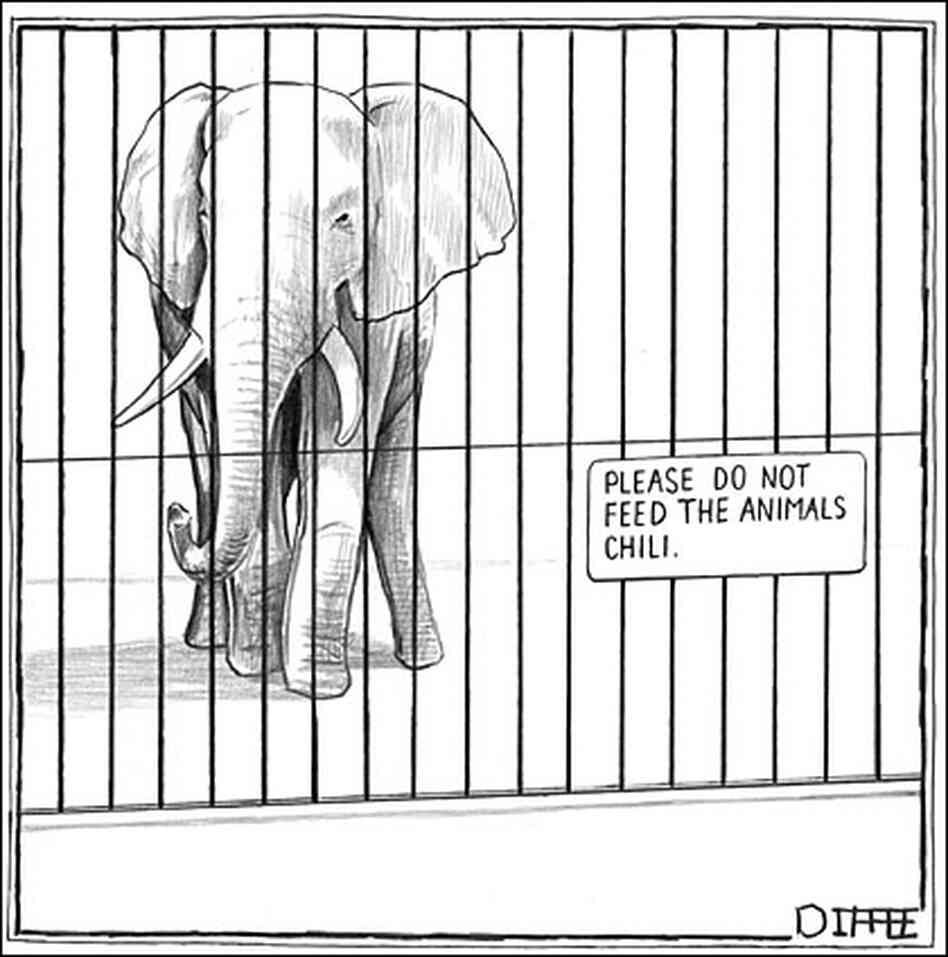 elephant elephant