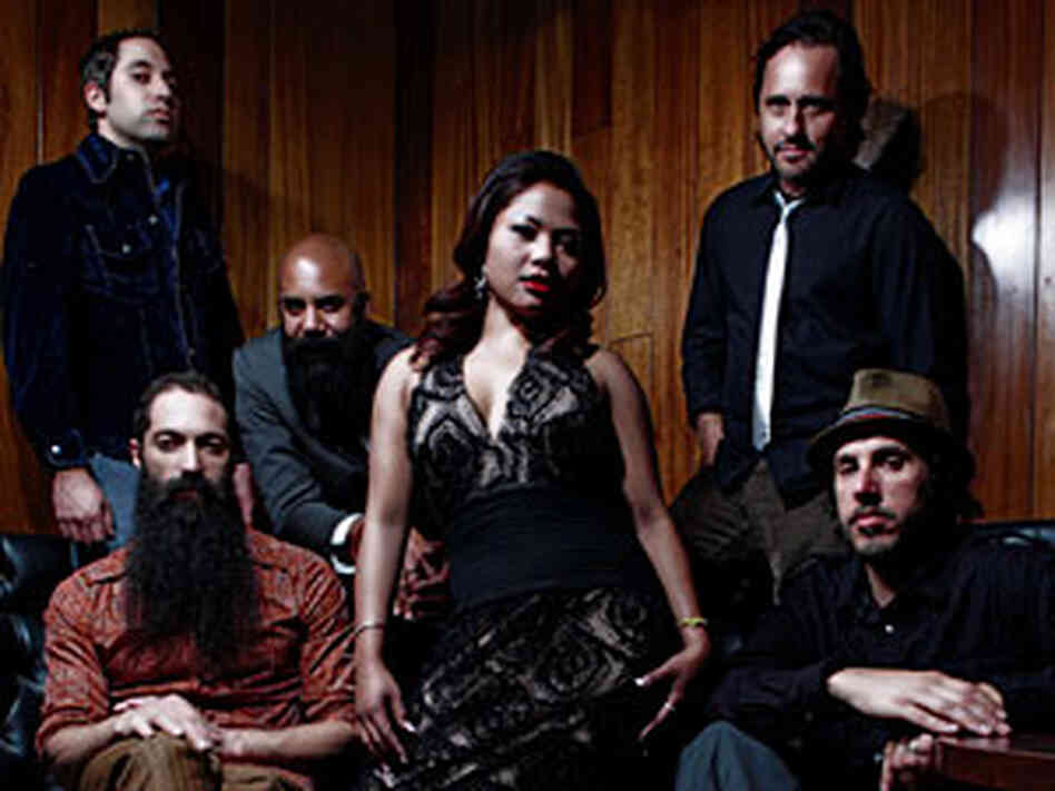 Dengue Fever 300 Dengue Fever 300