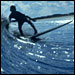 Surfers. Photo: Magnolia Pictures