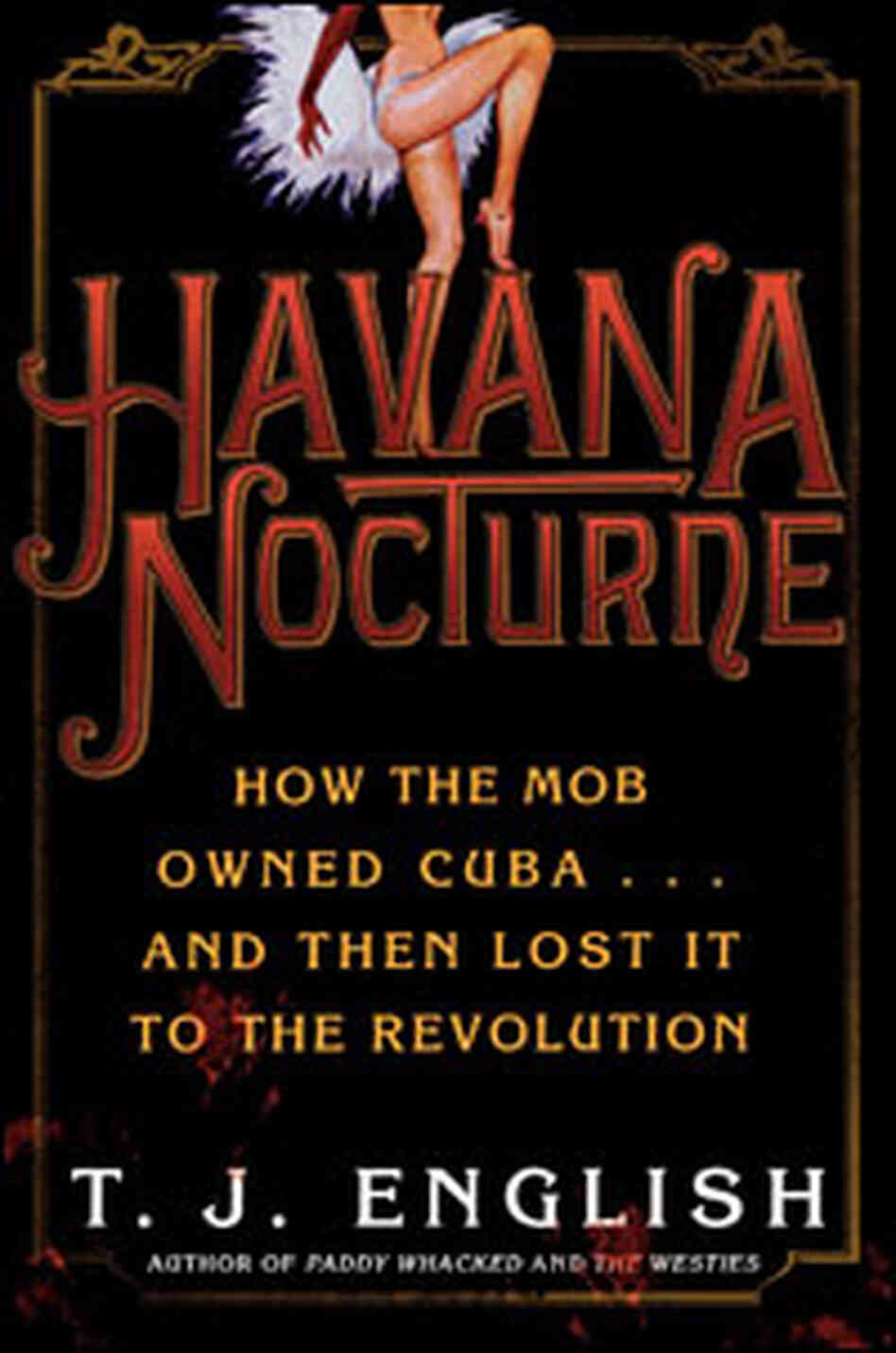 'Havana Nocturne' 'Havana Nocturne'