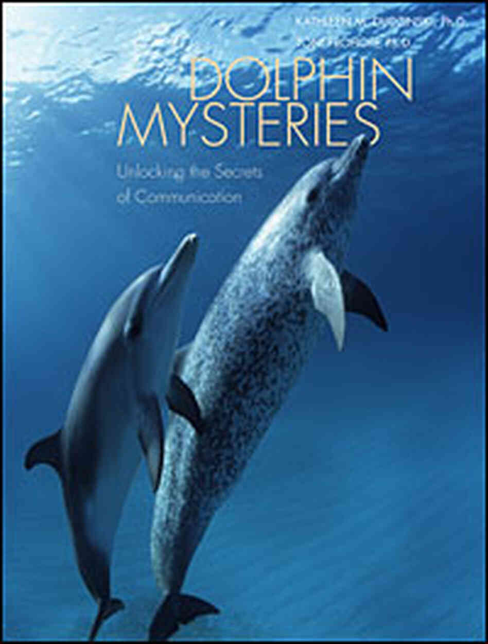 Cover: 'Dolphin Mysteries: Unlocking The Secrets Of Communication' Cover: 'Dolphin Mysteries: Unlocking The Secrets Of Communication'