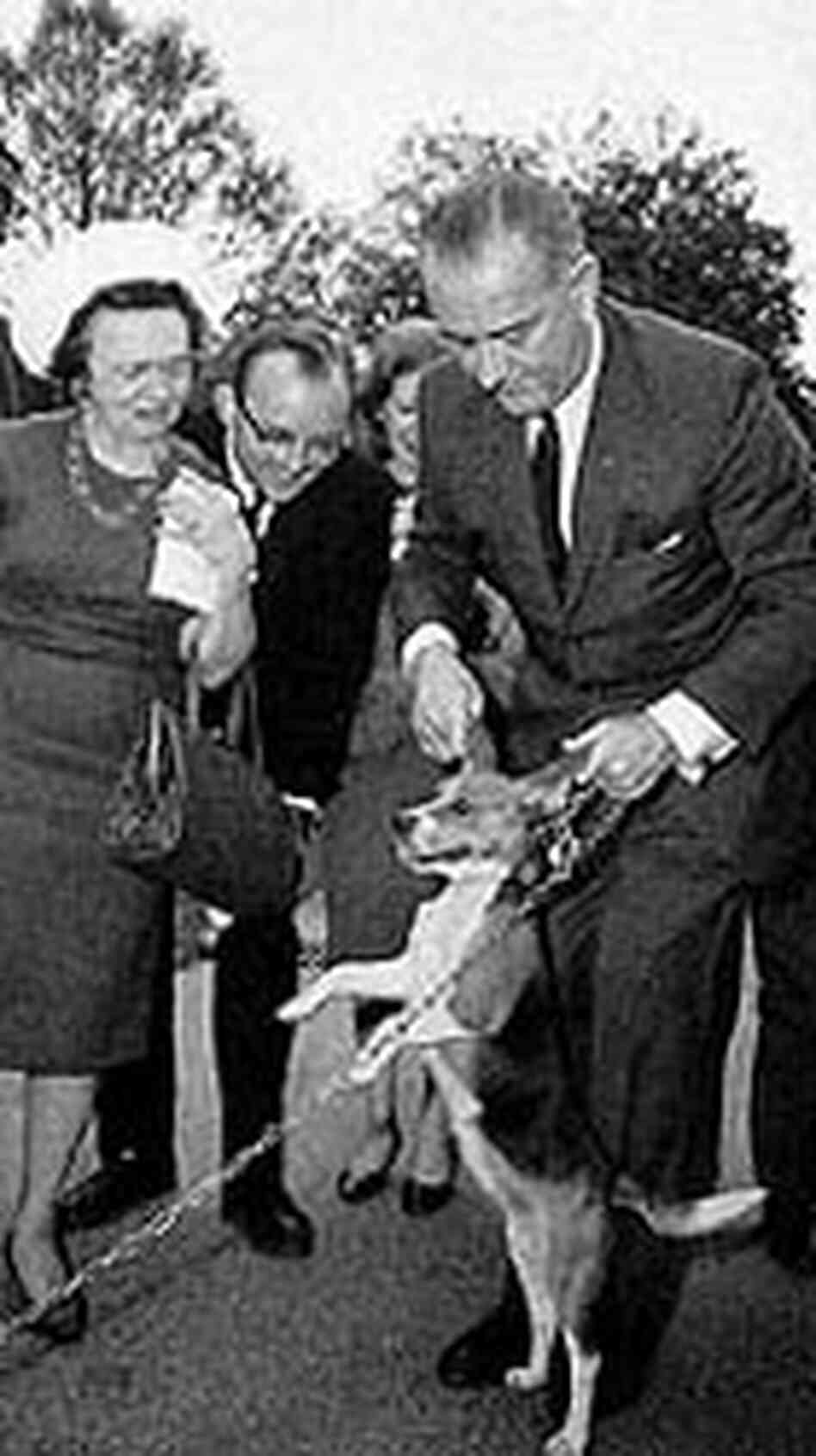 President Lyndon B. Johnson lifts his beagle by the ears, April 27, 1964. President Lyndon B. Johnson lifts his beagle by the ears, April 27, 1964.