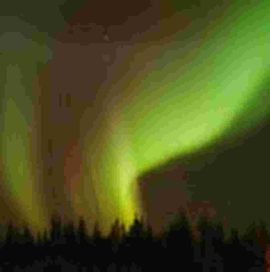 The dancing lights of the aurora borealis illuminate the sky over a northern forest The dancing lights of the aurora borealis illuminate the sky over a northern forest