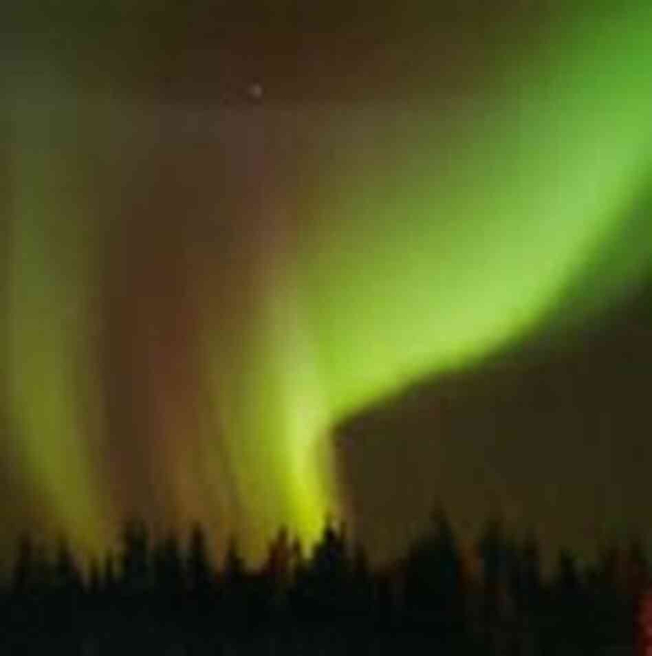 The dancing lights of the aurora borealis illuminate the sky over a northern forest The dancing lights of the aurora borealis illuminate the sky over a northern forest