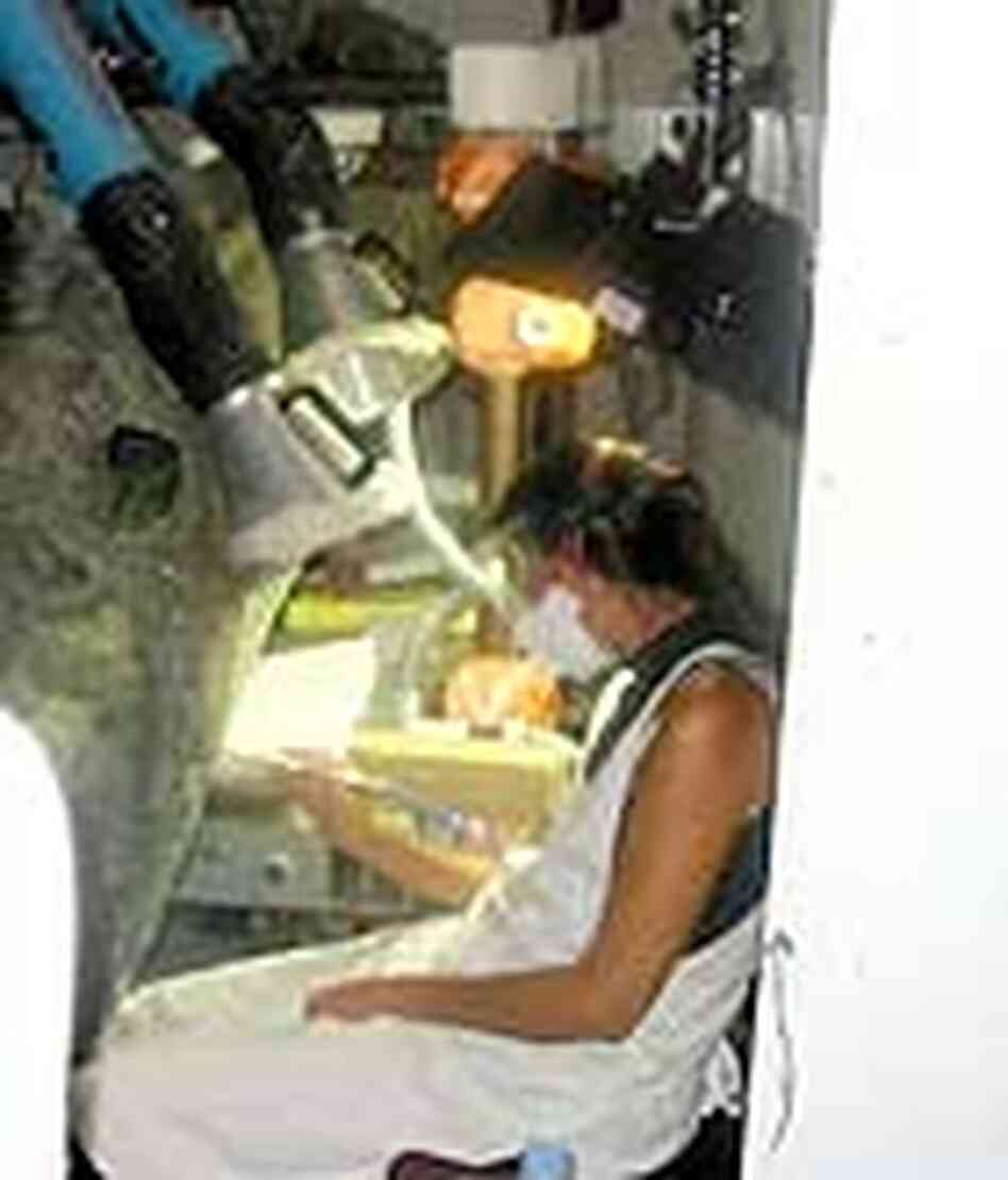 Restorer at work Restorer at work