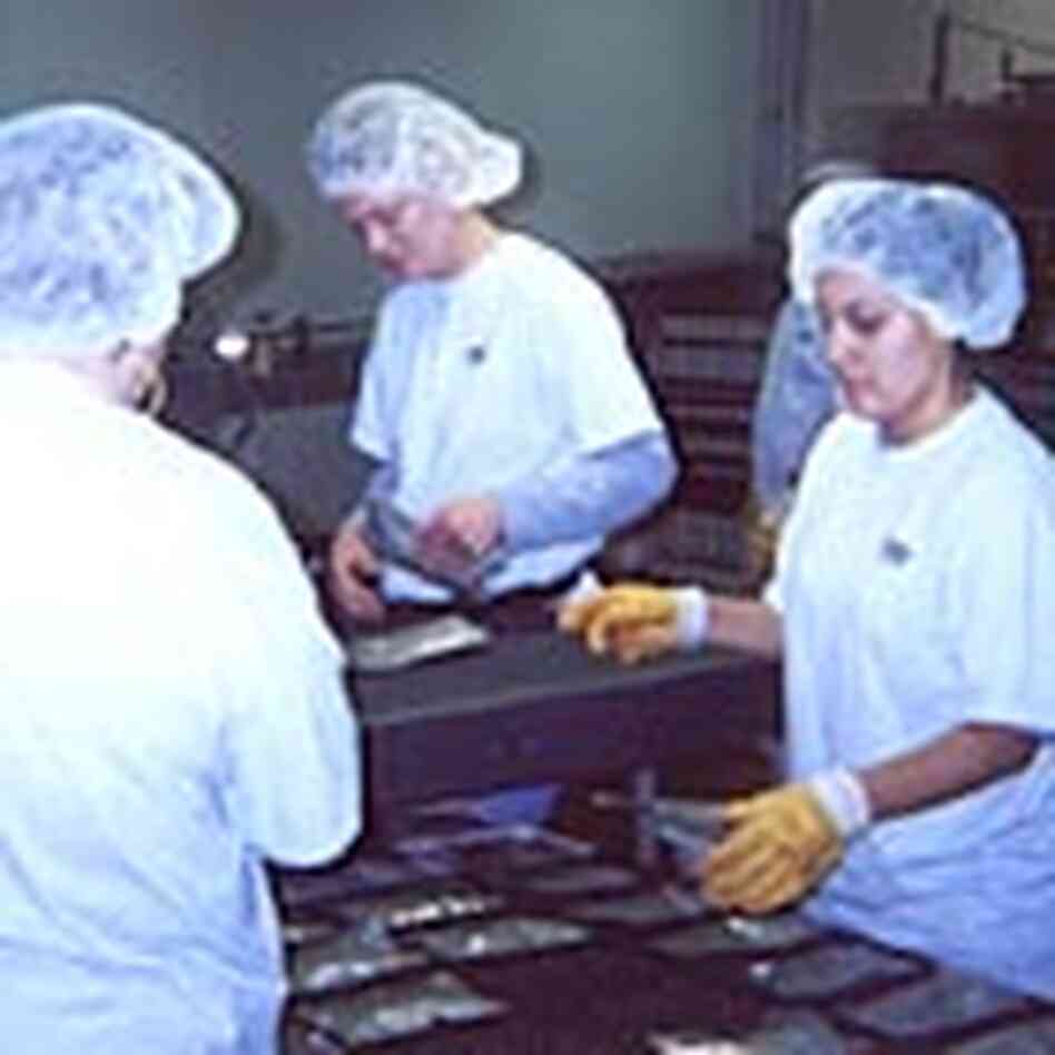 Workers inspect sealed food pouches Workers inspect sealed food pouches